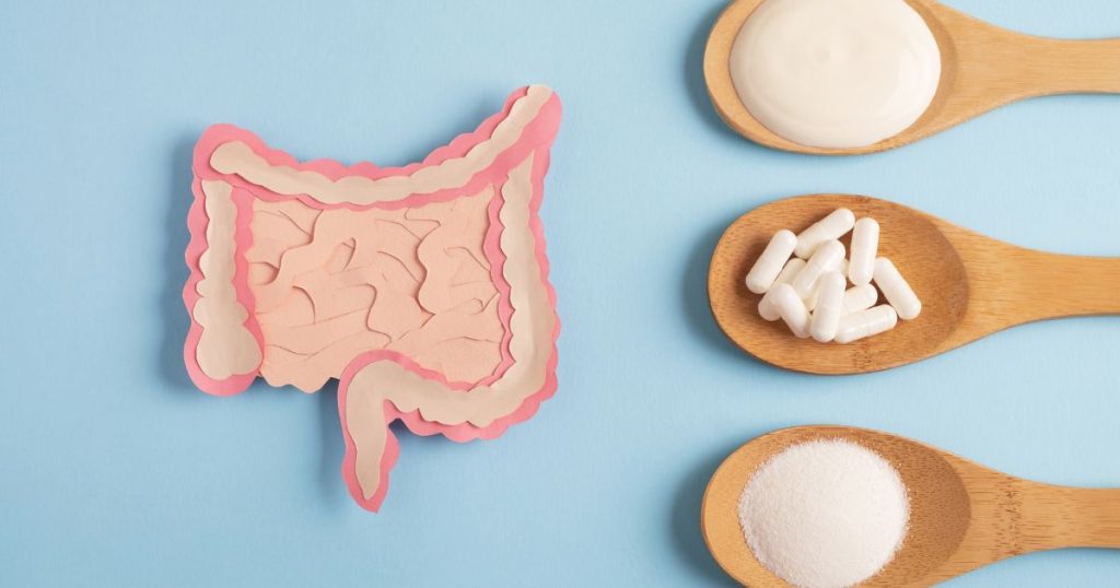 寵物益生菌怎麼選？