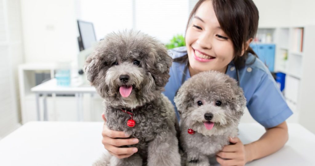 寵物保養有撇步：從身心健康到情感連結