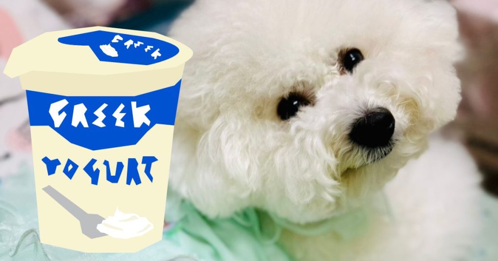 優格對狗狗的好處有哪些?