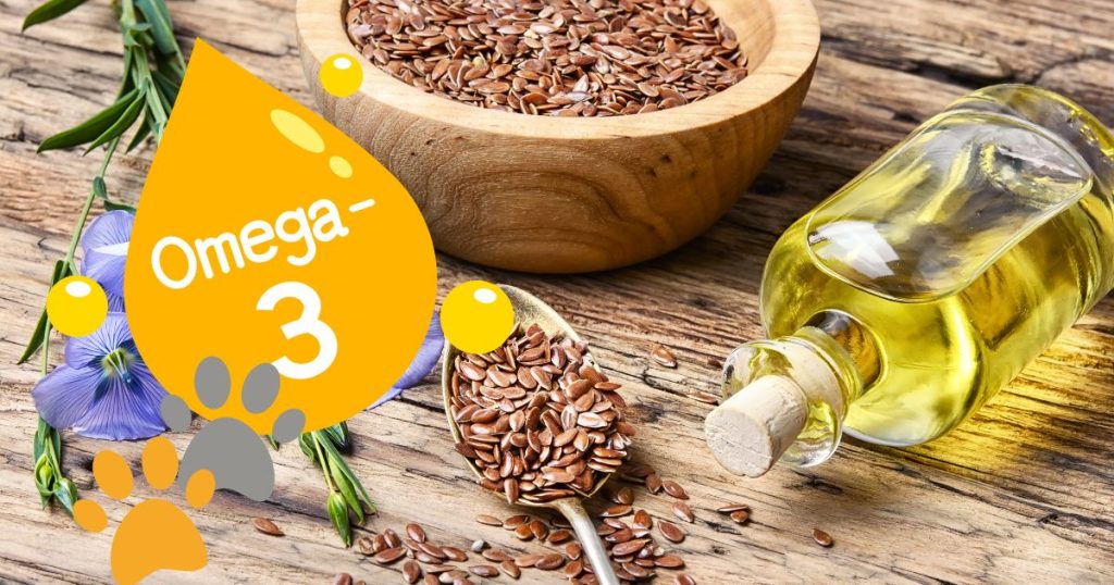 寵物亞麻仁油怎麼選？犬貓劑量與健康功效懶人包